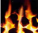 Apex Coal Fuel Effect (Jmc)